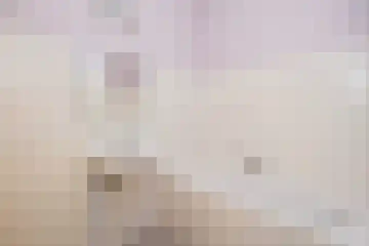 Snavelzegge 3 Zwolle thumbnail 22
