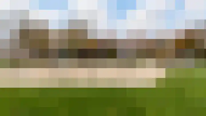 Snavelzegge 3 Zwolle thumbnail 4