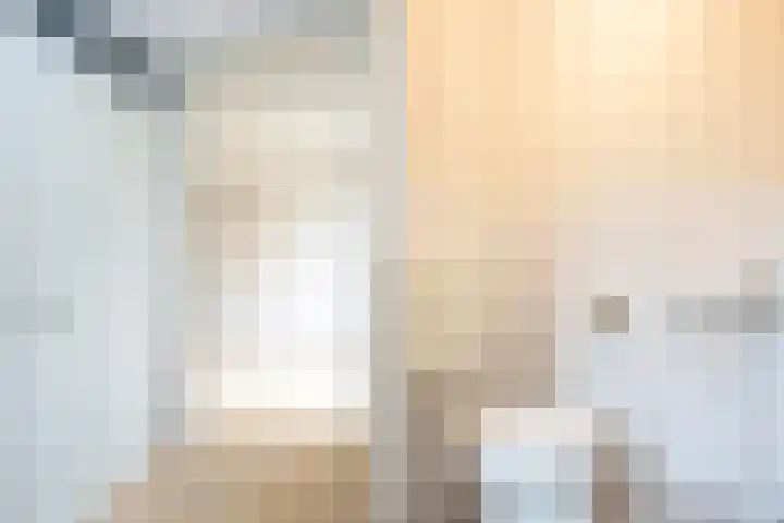 Snavelzegge 3 Zwolle thumbnail 6