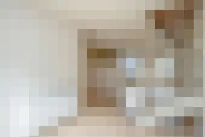 Snavelzegge 3 Zwolle thumbnail 7