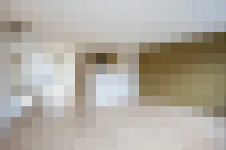 Snavelzegge 3 Zwolle thumbnail 8
