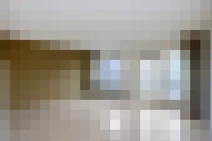 Snavelzegge 3 Zwolle thumbnail 9