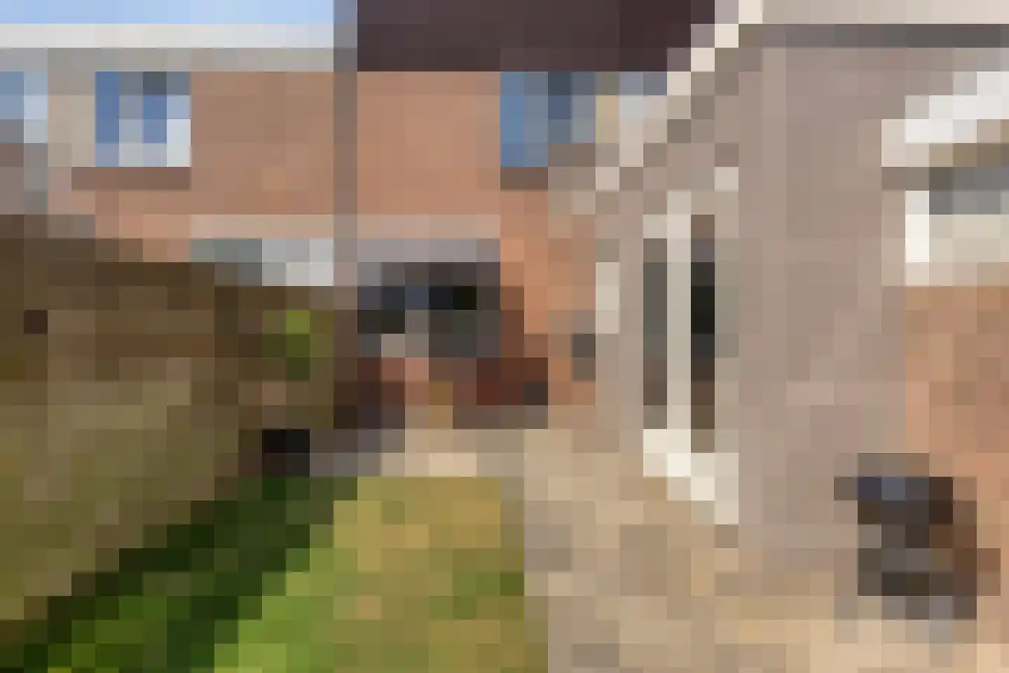 Snecanusstraat 3 Sneek thumbnail 29