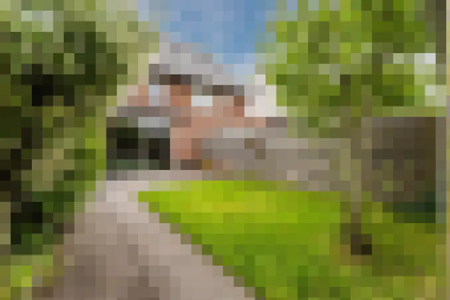Sneekermeer 2 Amersfoort thumbnail 31