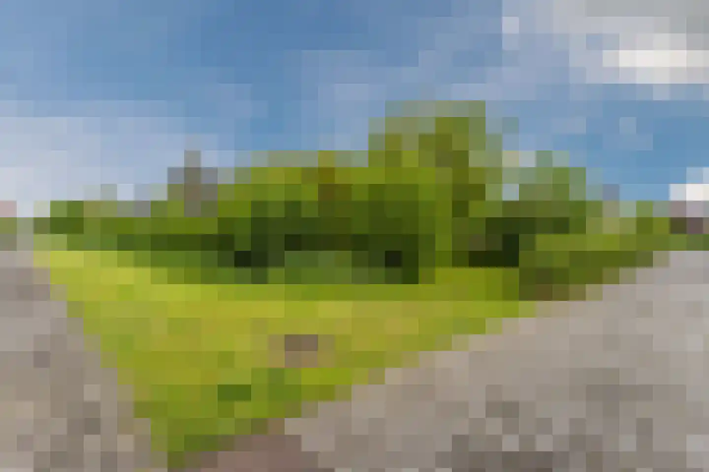 Sneekermeer 2 Amersfoort thumbnail 39