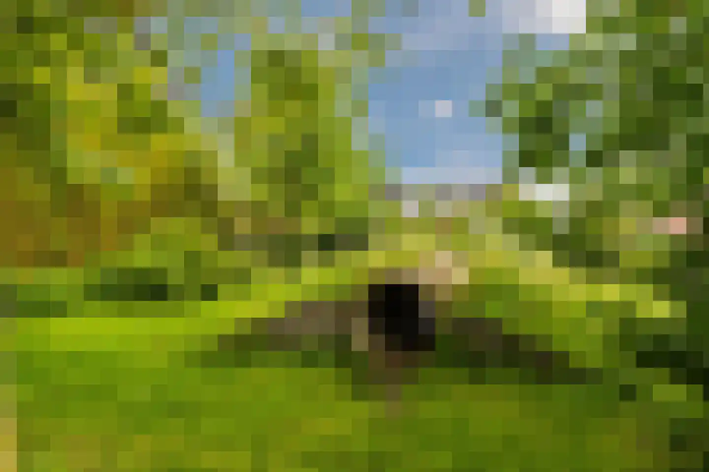 Sneekermeer 2 Amersfoort thumbnail 40