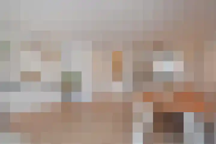 Sneekermeer 26 Zoetermeer thumbnail 17
