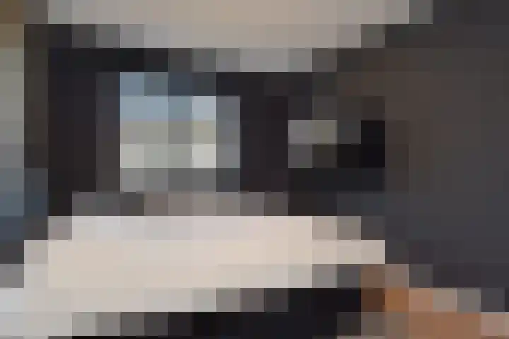 Sneekermeer 26 Zoetermeer thumbnail 28