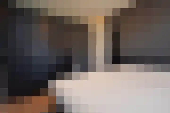 Sneekermeer 26 Zoetermeer thumbnail 29