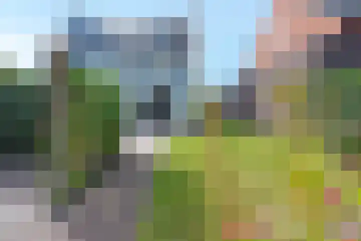 Sneekermeer 3 Amersfoort thumbnail 10