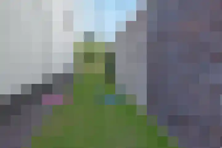 Sneekermeer 3 Amersfoort thumbnail 36