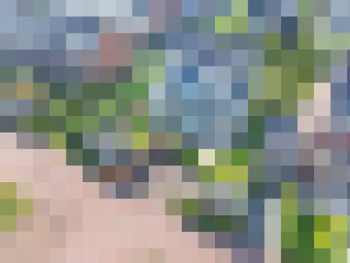 Sneekermeer 3 Amersfoort thumbnail 38