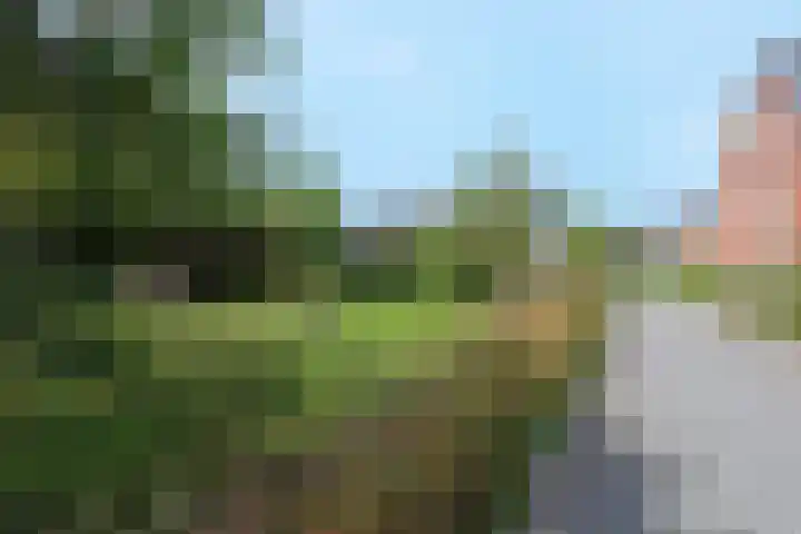 Sneekermeer 3 Amersfoort thumbnail 40