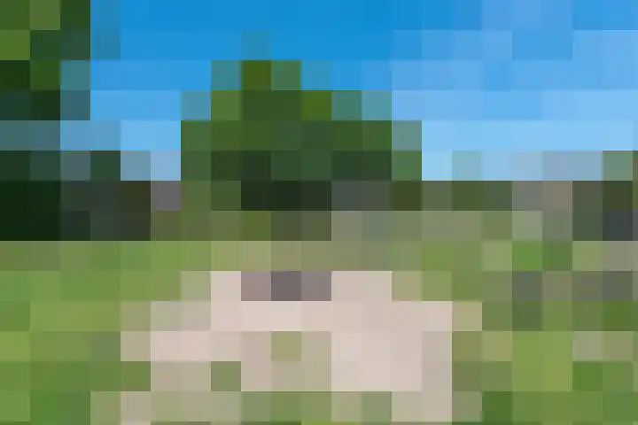 Sneekermeer 3 Amersfoort thumbnail 42