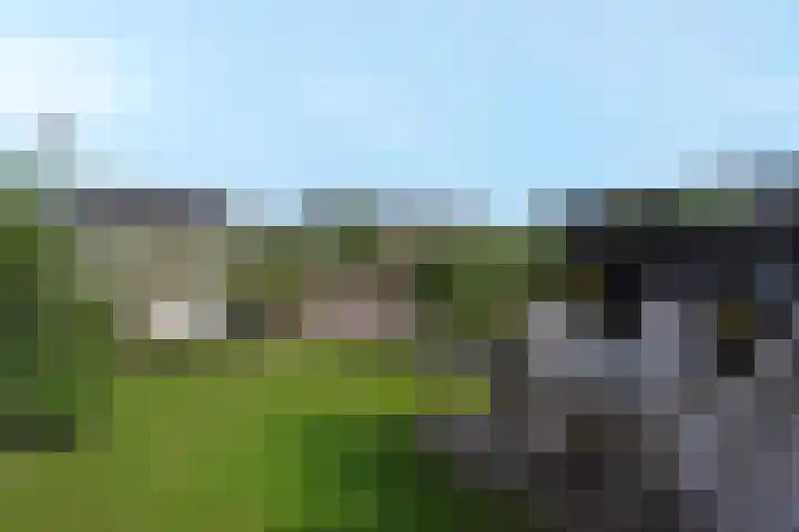 Sneekermeer 3 Amersfoort thumbnail 7