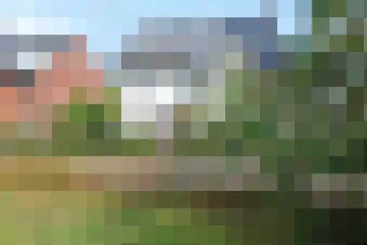 Sneekermeer 3 Amersfoort thumbnail 8