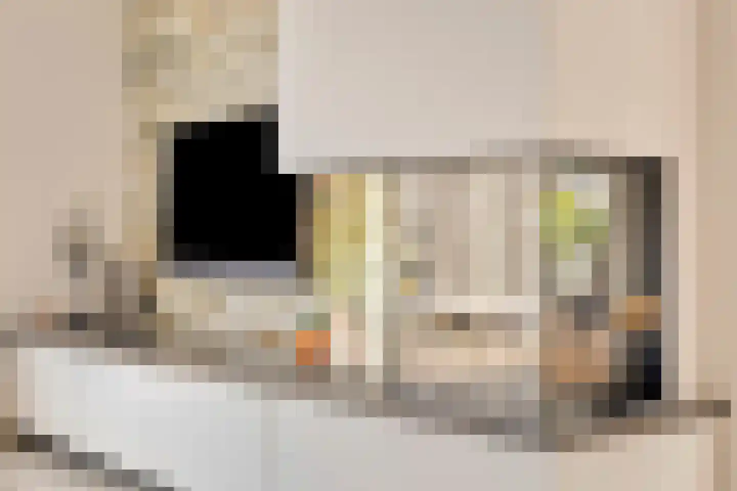Sneekermeer 40 Zoetermeer thumbnail 12