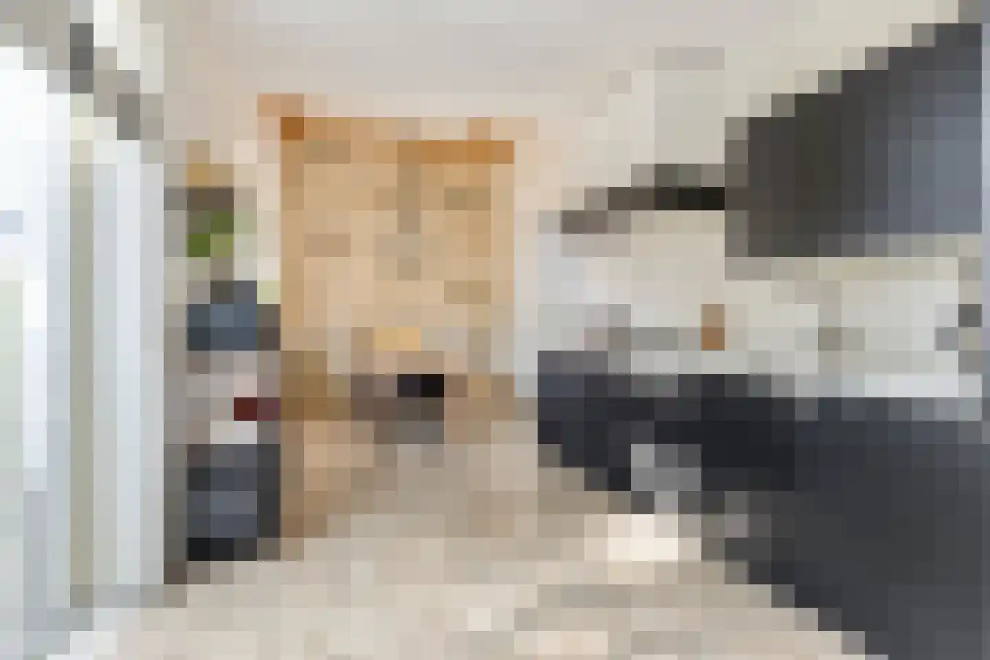 Sneekermeer 40 Zoetermeer thumbnail 17