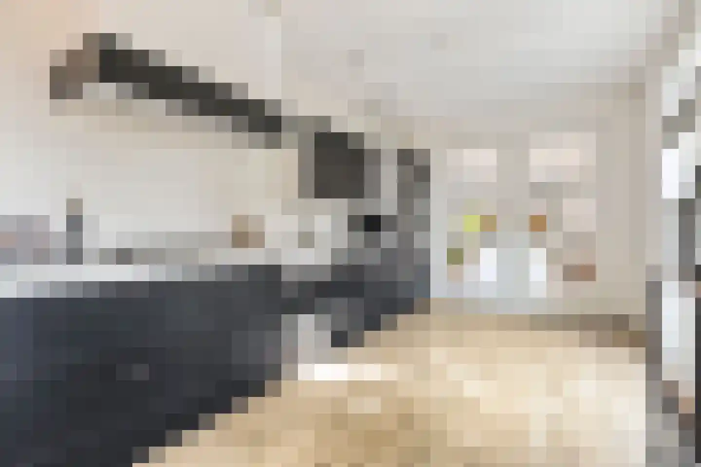 Sneekermeer 40 Zoetermeer thumbnail 20