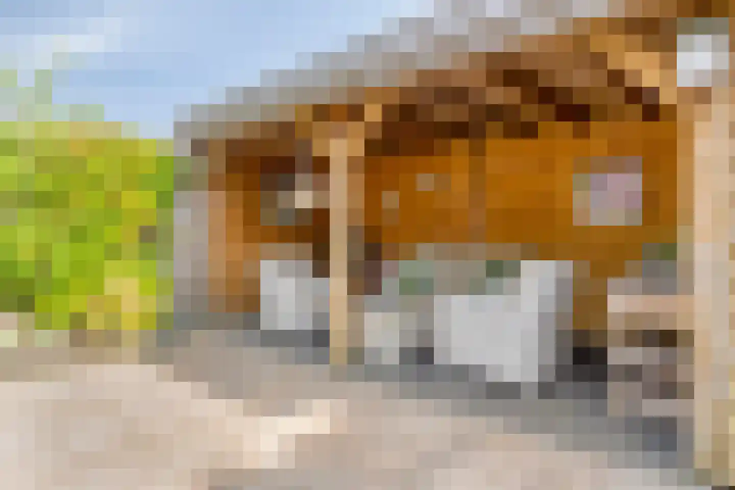 Sneekermeer 40 Zoetermeer thumbnail 24