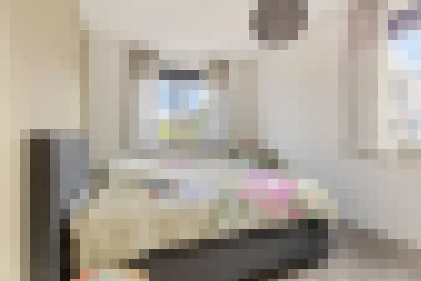 Sneekermeer 40 Zoetermeer thumbnail 30