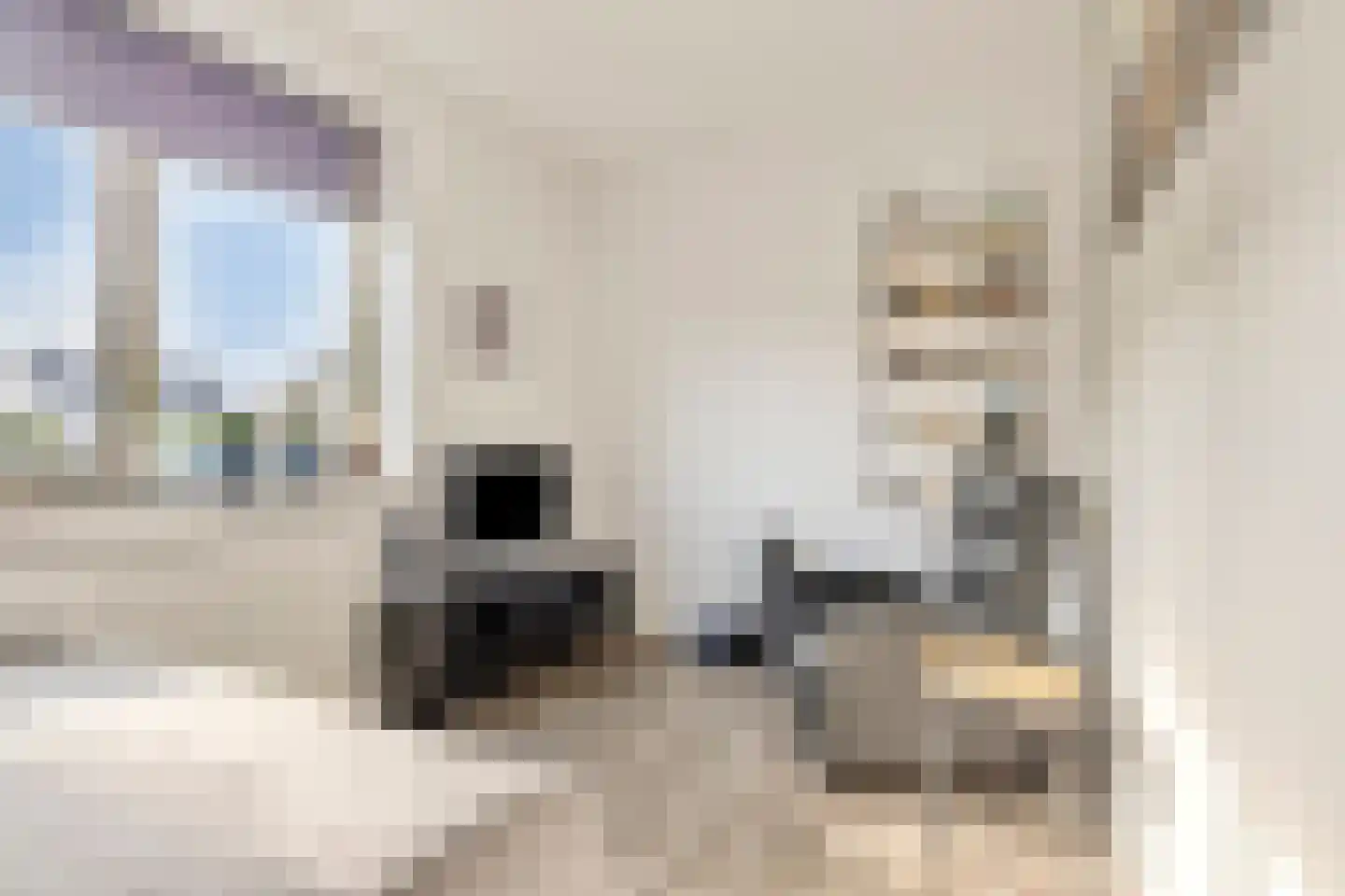 Sneekermeer 40 Zoetermeer thumbnail 35