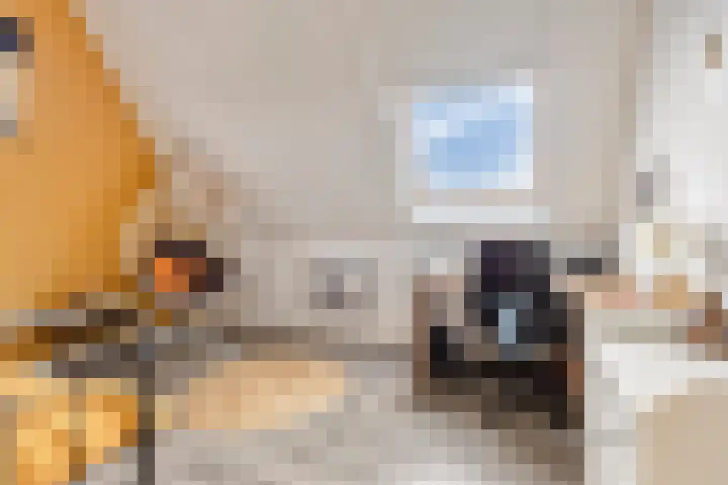 Sneekermeer 40 Zoetermeer thumbnail 40