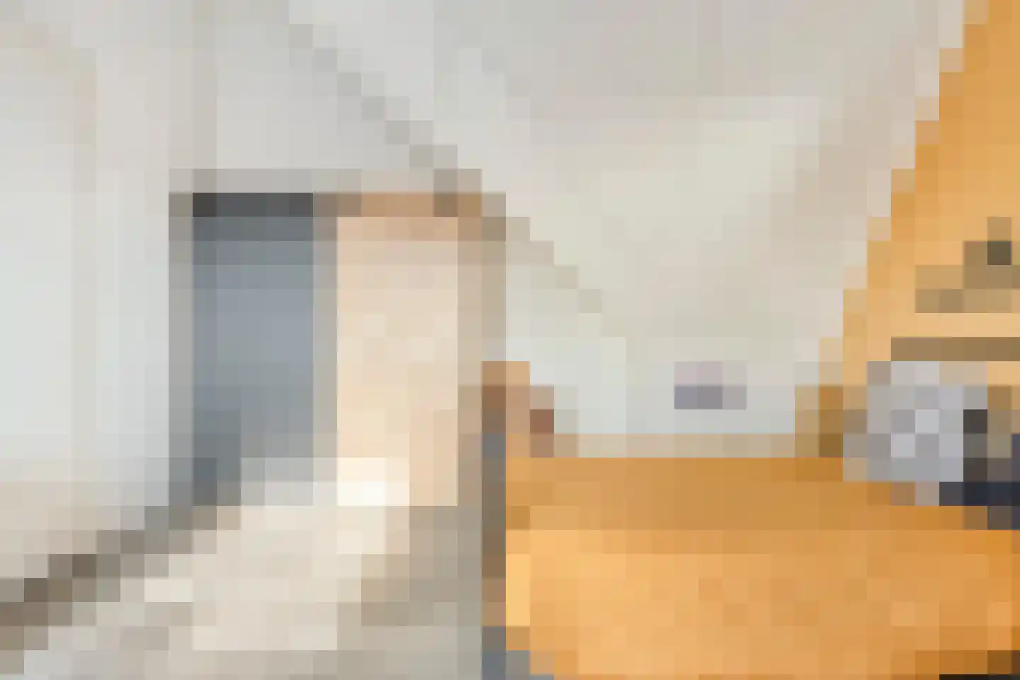 Sneekermeer 40 Zoetermeer thumbnail 41