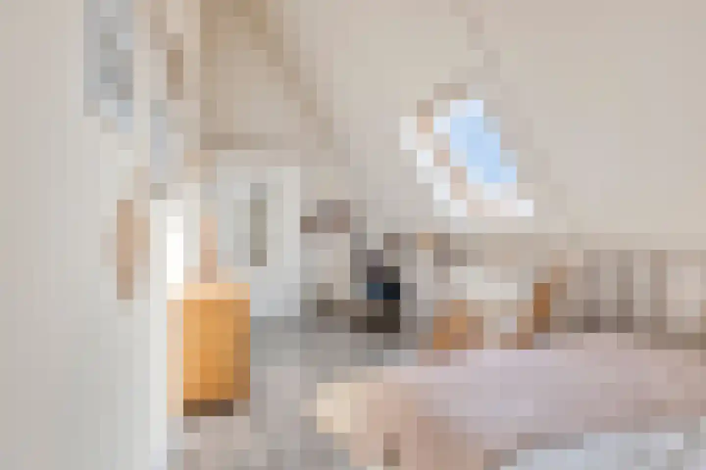 Sneekermeer 40 Zoetermeer thumbnail 43