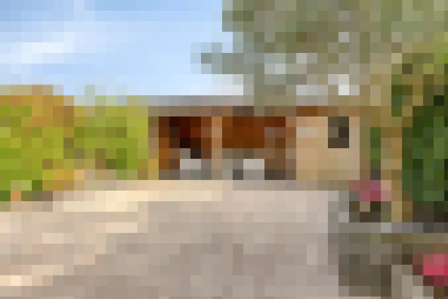 Sneekermeer 40 Zoetermeer thumbnail 5