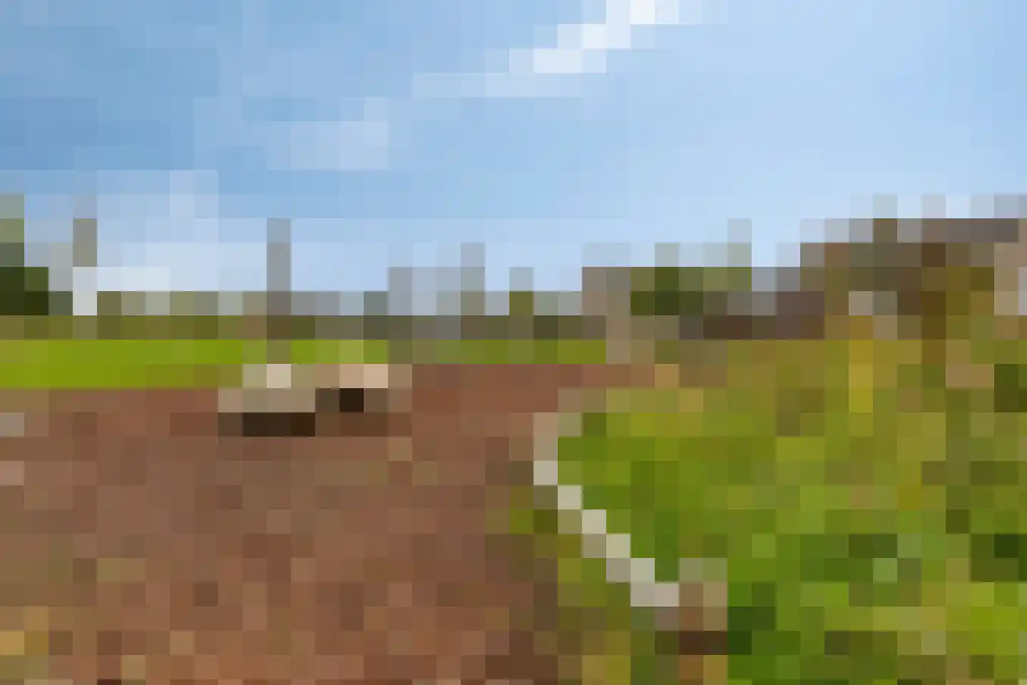 Sneekermeer 40 Zoetermeer thumbnail 51