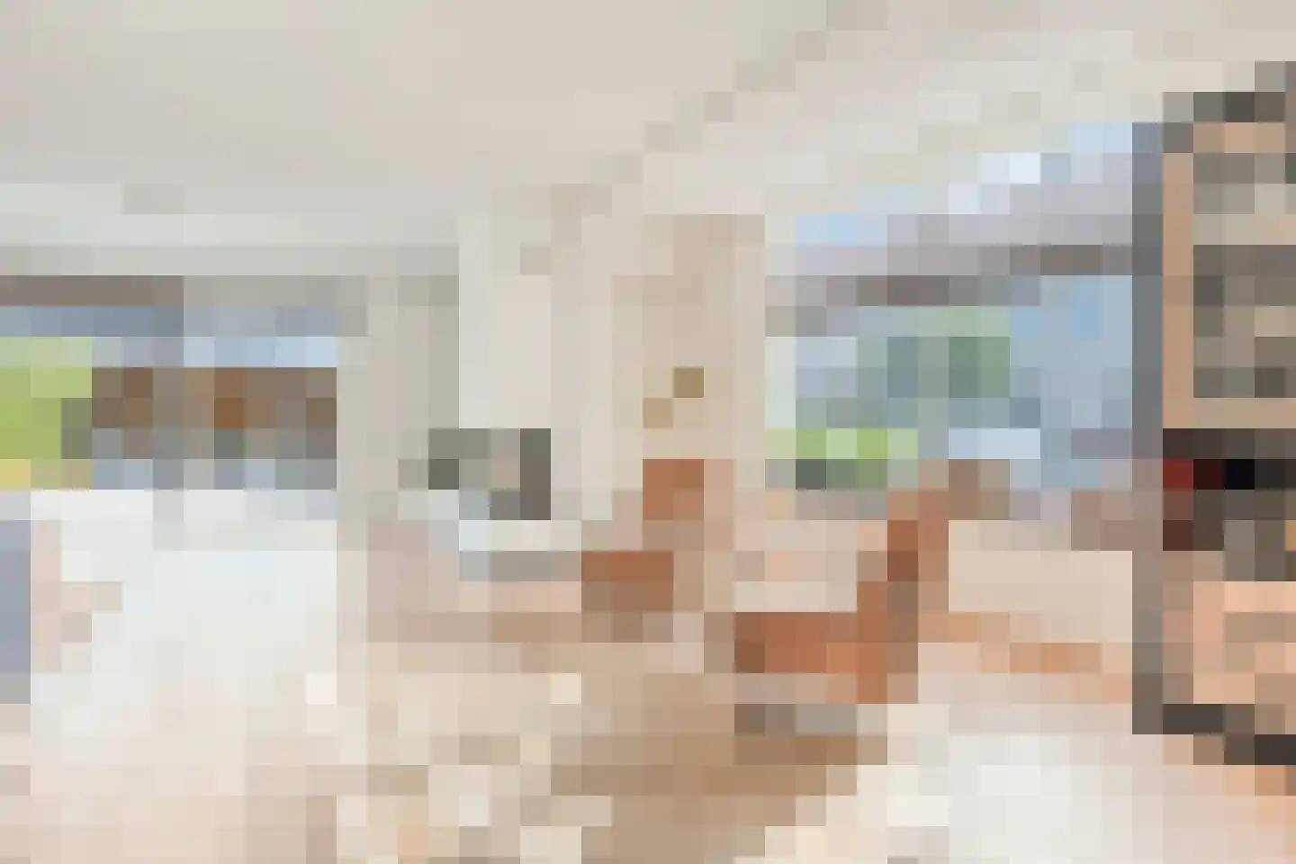 Sneekermeer 40 Zoetermeer thumbnail 6