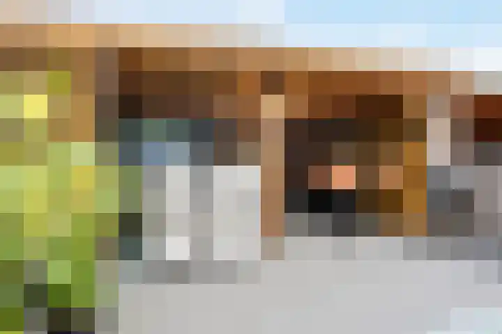 Sneekermeer 58 Zoetermeer thumbnail 29
