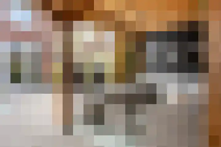 Sneekermeer 58 Zoetermeer thumbnail 30