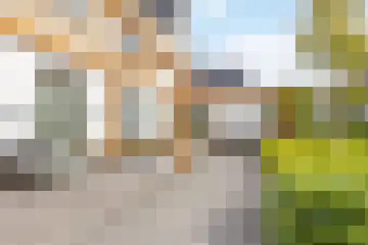 Sneekermeer 58 Zoetermeer thumbnail 33