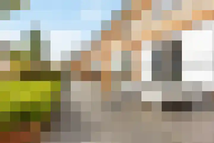 Sneekermeer 58 Zoetermeer thumbnail 34