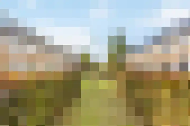Sneekermeer 58 Zoetermeer thumbnail 37