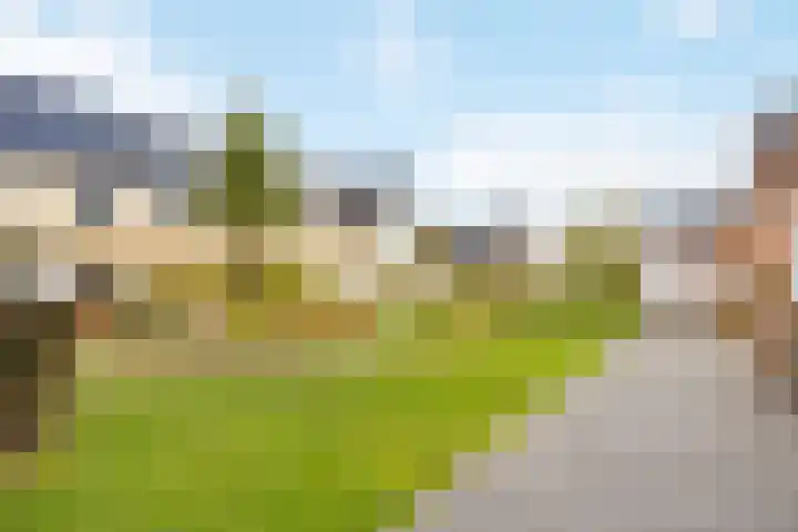 Sneekermeer 58 Zoetermeer thumbnail 38