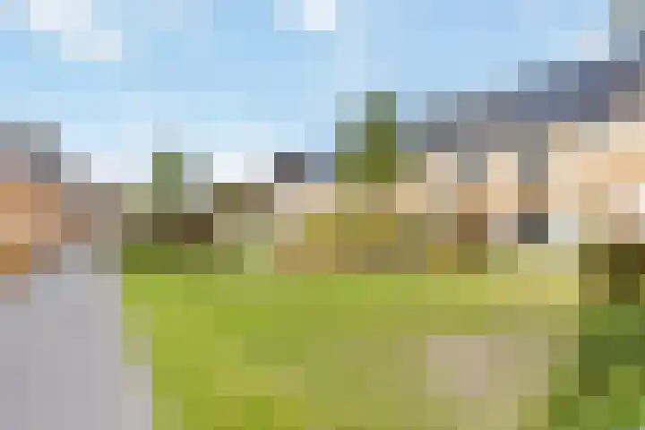 Sneekermeer 58 Zoetermeer thumbnail 39