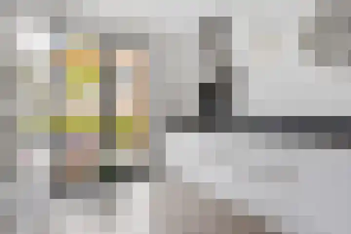 Sneekermeer 58 Zoetermeer thumbnail 4