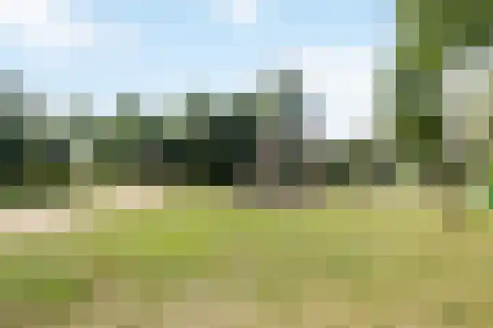 Sneekermeer 58 Zoetermeer thumbnail 41