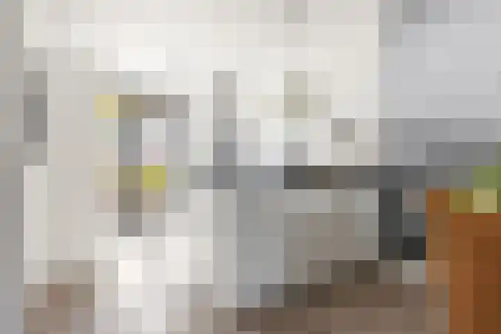 Sneekermeer 58 Zoetermeer thumbnail 5