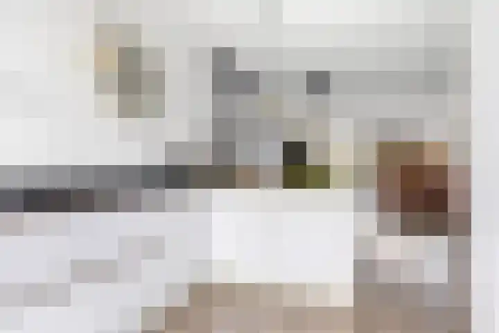 Sneekermeer 58 Zoetermeer thumbnail 8