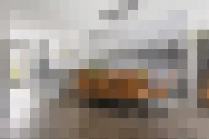 Sneekermeer 58 Zoetermeer thumbnail 9