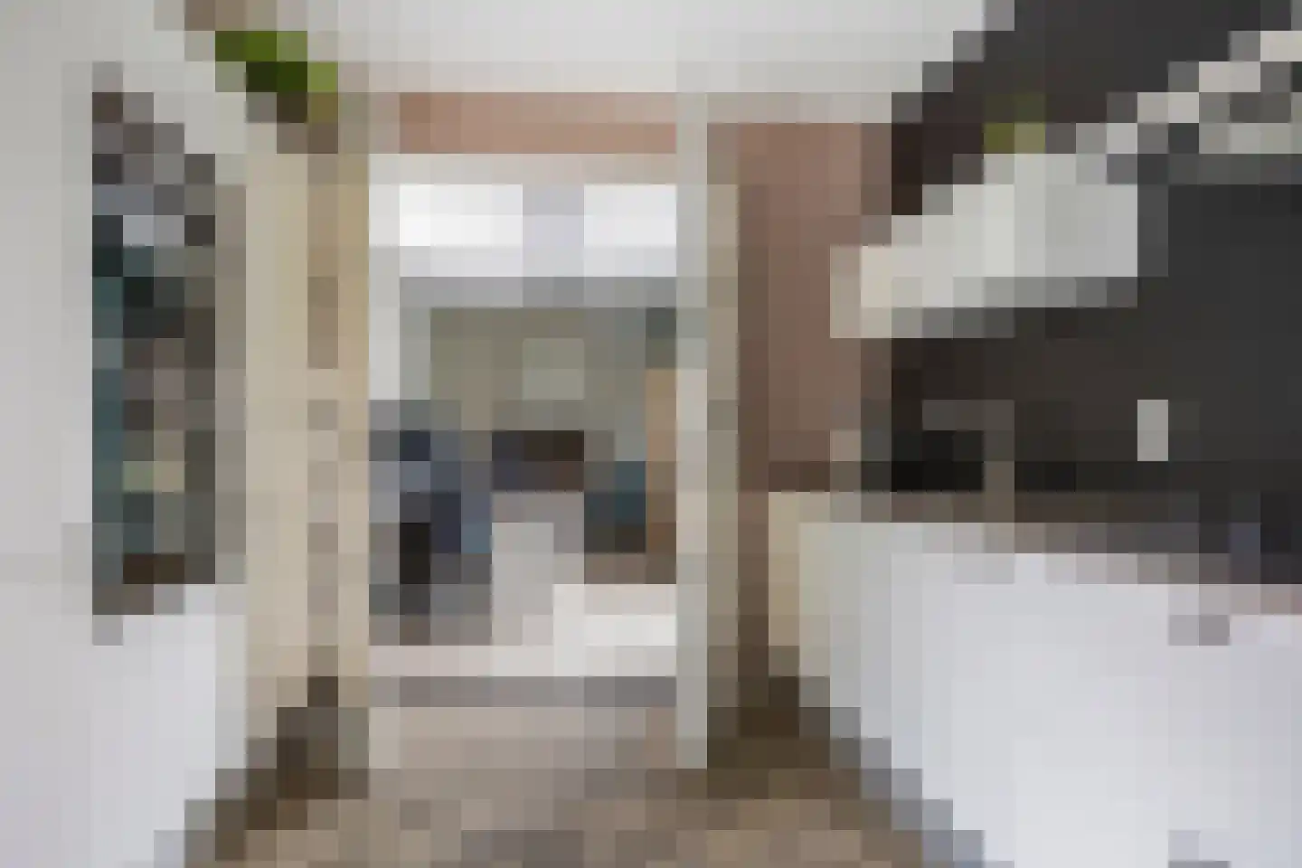 Sneekermeer 60 Zoetermeer thumbnail 17
