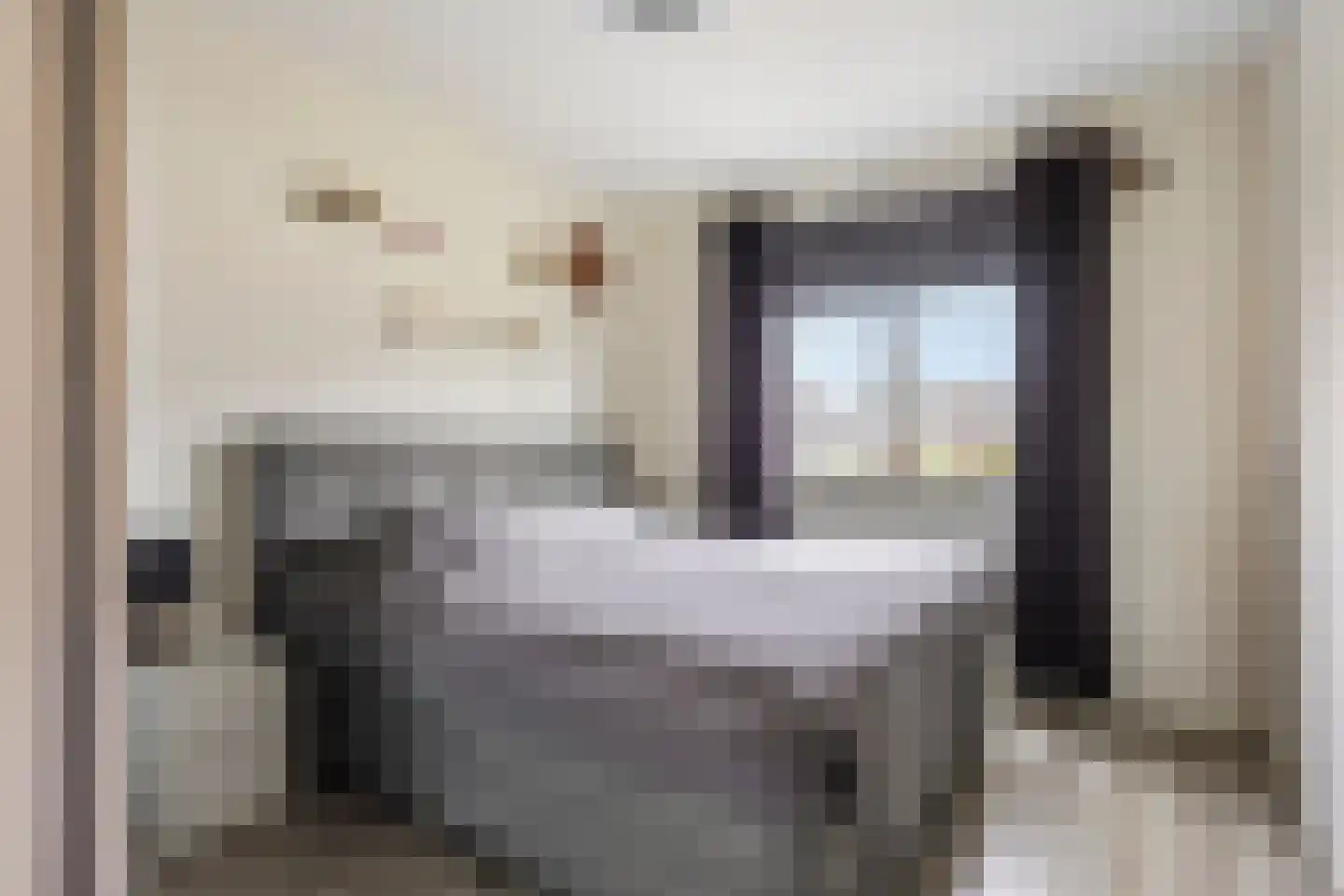 Sneekermeer 60 Zoetermeer thumbnail 22