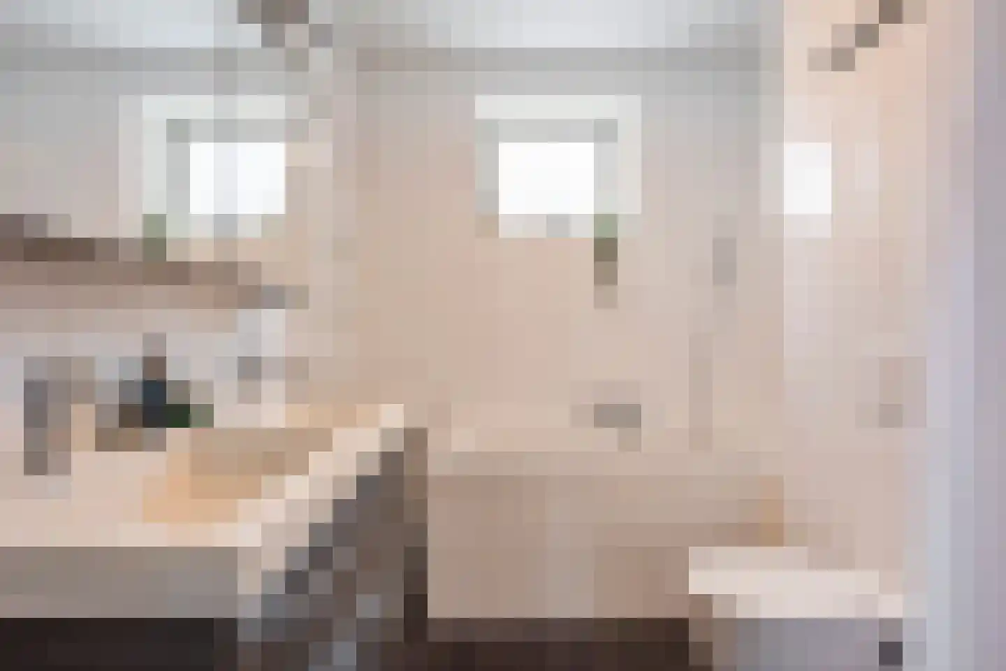 Sneekermeer 60 Zoetermeer thumbnail 30