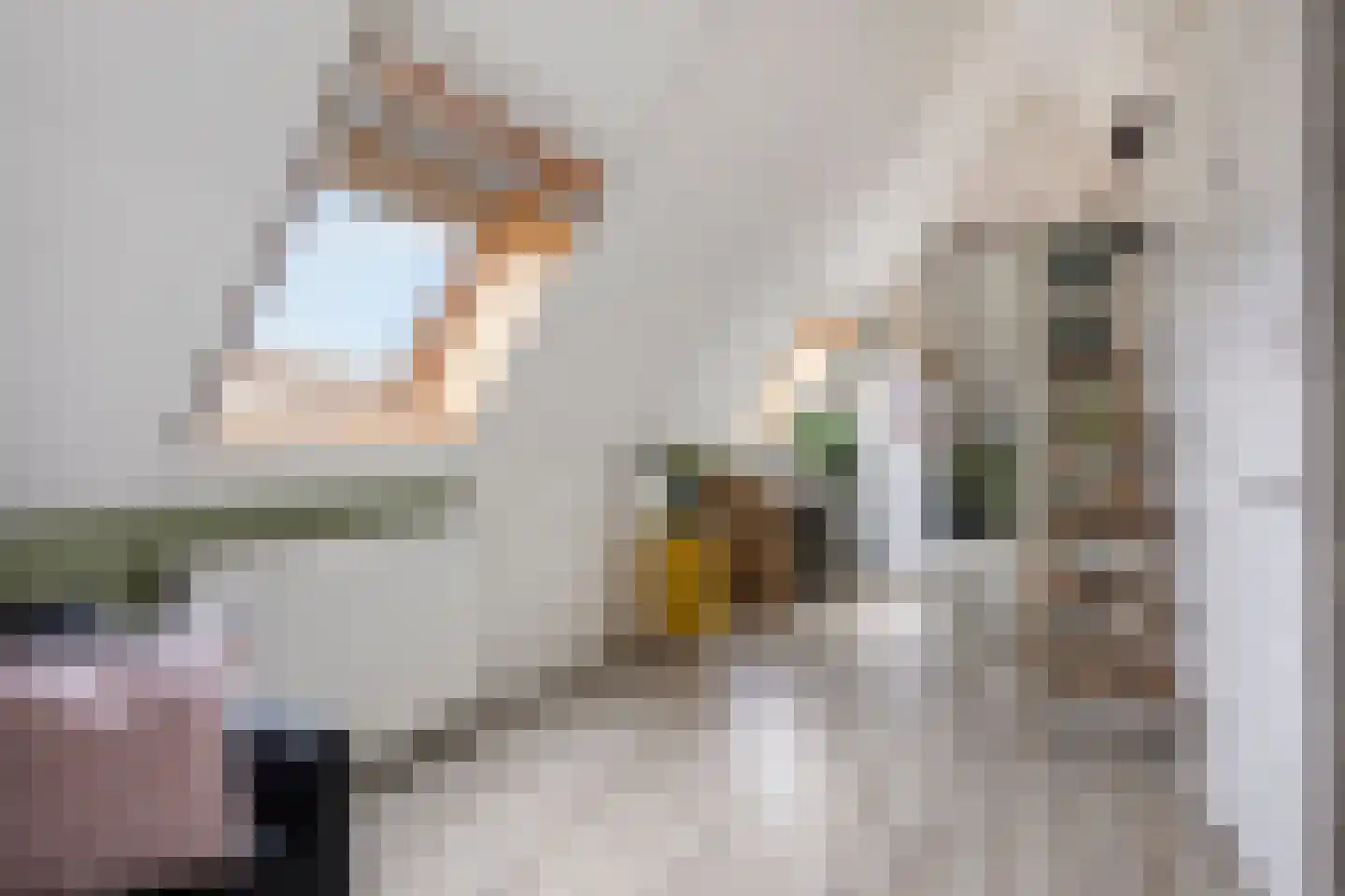 Sneekermeer 60 Zoetermeer thumbnail 33