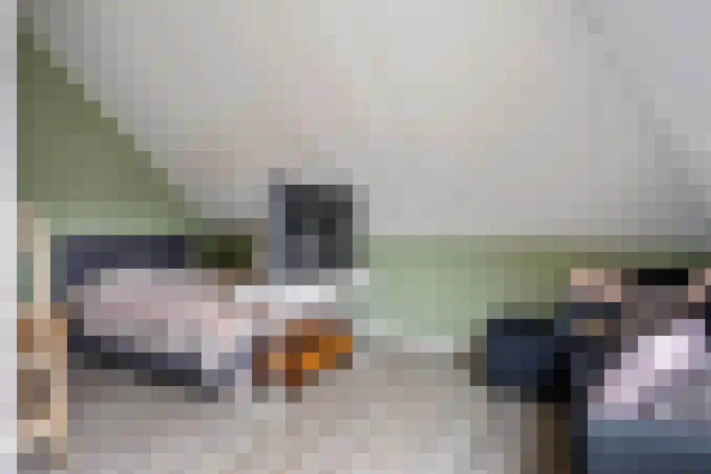 Sneekermeer 60 Zoetermeer thumbnail 34