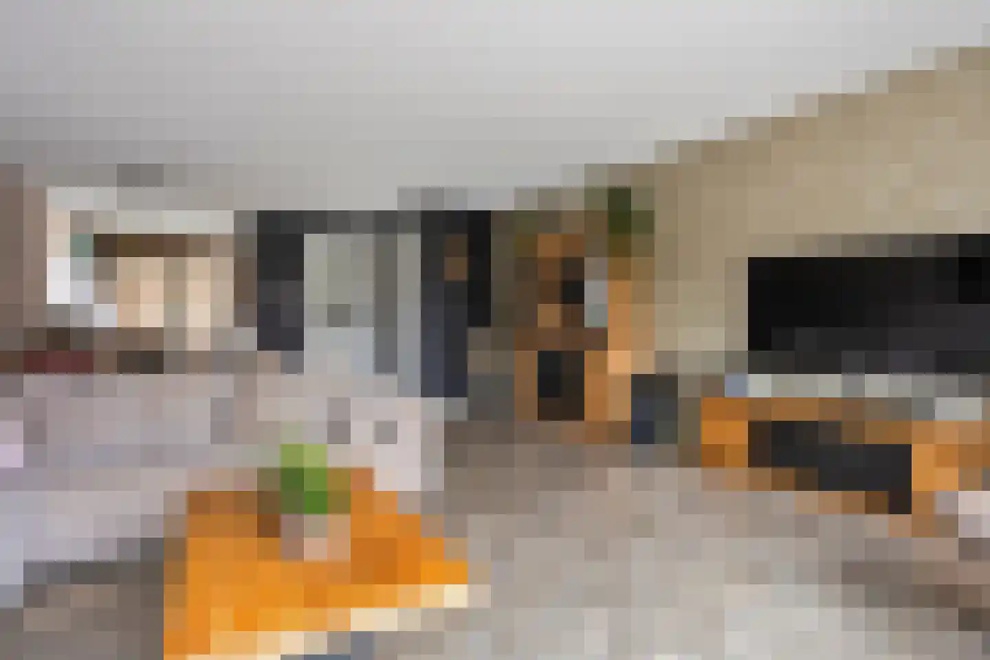 Sneekermeer 60 Zoetermeer thumbnail 7